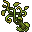 sun fruit bush