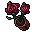 rosebush