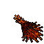 burn out bonfire