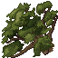 sequoia trunk