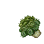 small cactus tree