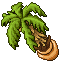 potted palm tree