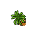 potted plant