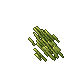 reed