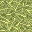 reed
