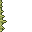 reed