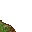 grass