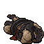 dead corpse