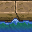 shallow water