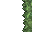 reed
