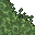 reed
