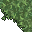 reed