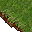 grass