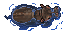 hippo