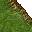 grass