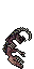 dead adult goanna