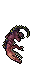 dead adult goanna