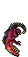 dead adult goanna