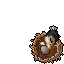 jousting eagle baby