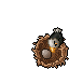 jousting eagle baby