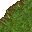 grass