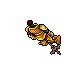 golden outfit display