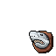 white shark trophy