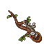 monkey