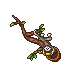 monkey