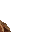 dirt