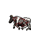 dead cow