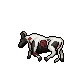 dead cow