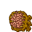 brain head