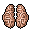 brain head's brain