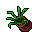 flower pot