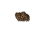 woods