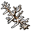 snowy dead tree