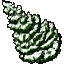 snowy fir tree