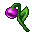royal blossom