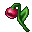 royal blossom
