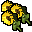 some sunflowers