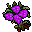 rosebush