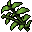 mire sprout