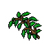 sludge fern