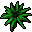 agave