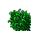 jungle grass