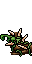 thorn bush