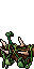 thorn bush