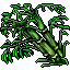bamboo plant
