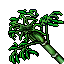 bamboo plant